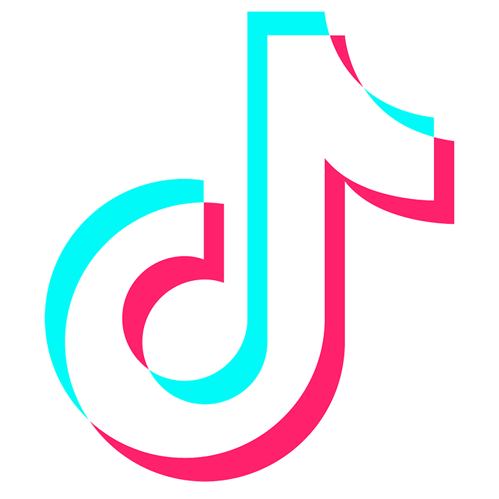 Tiktok logo