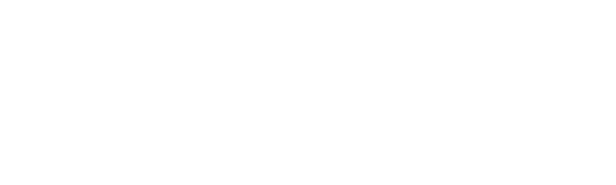 Digital Analytics Summit