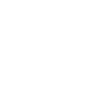 Logo van Surfana