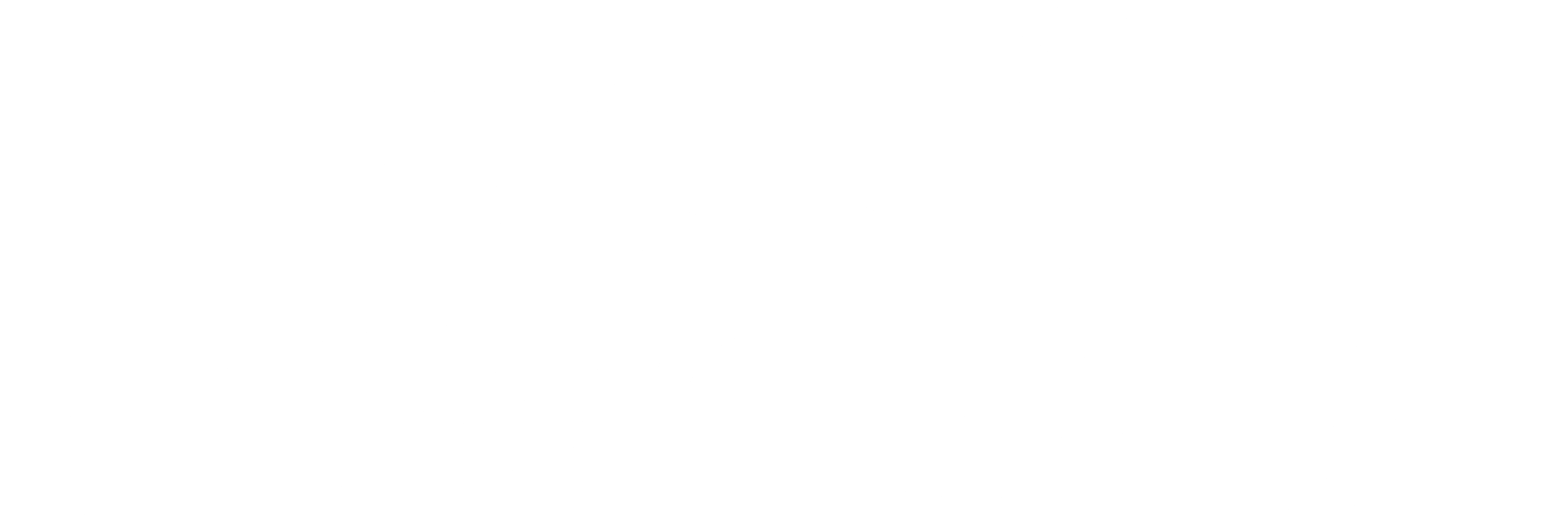 O'neill logo