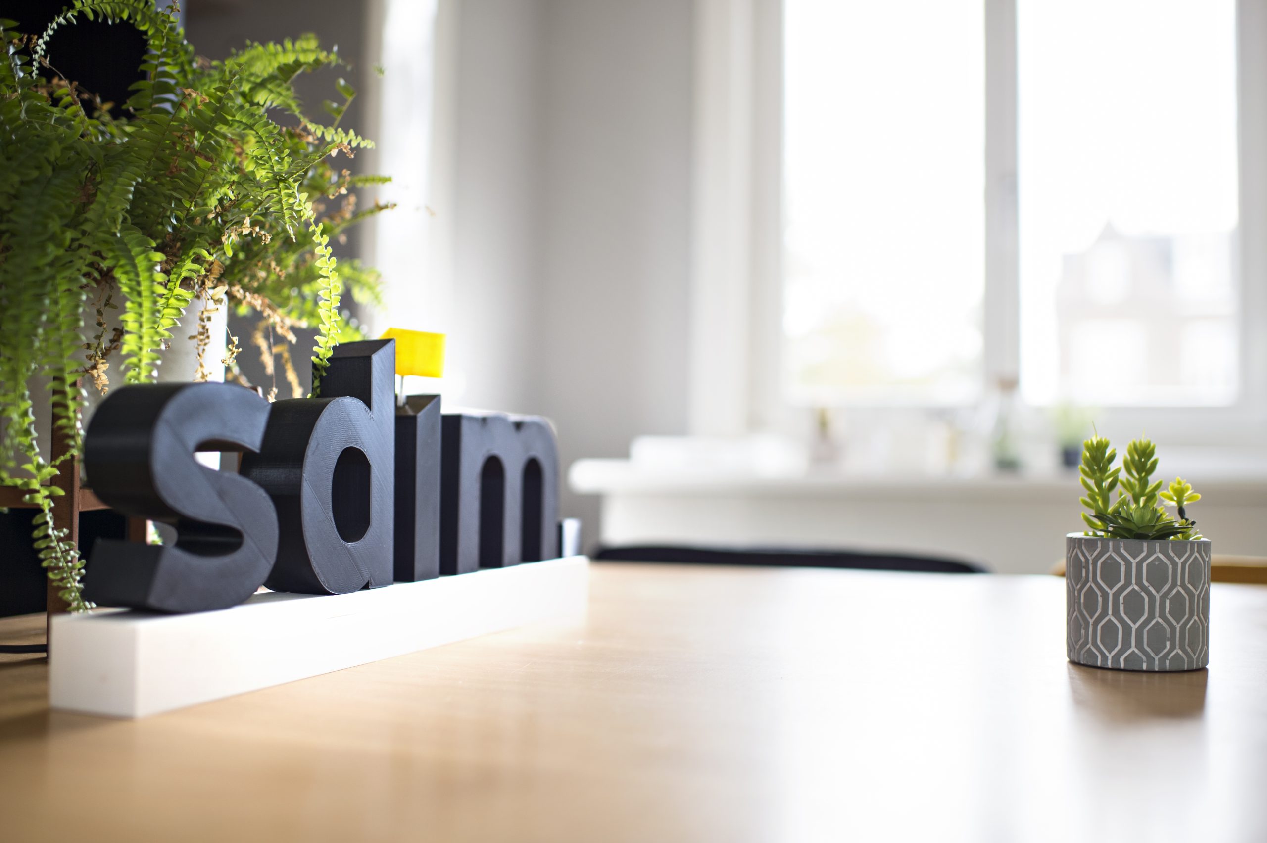 SDIM logo 3dprint